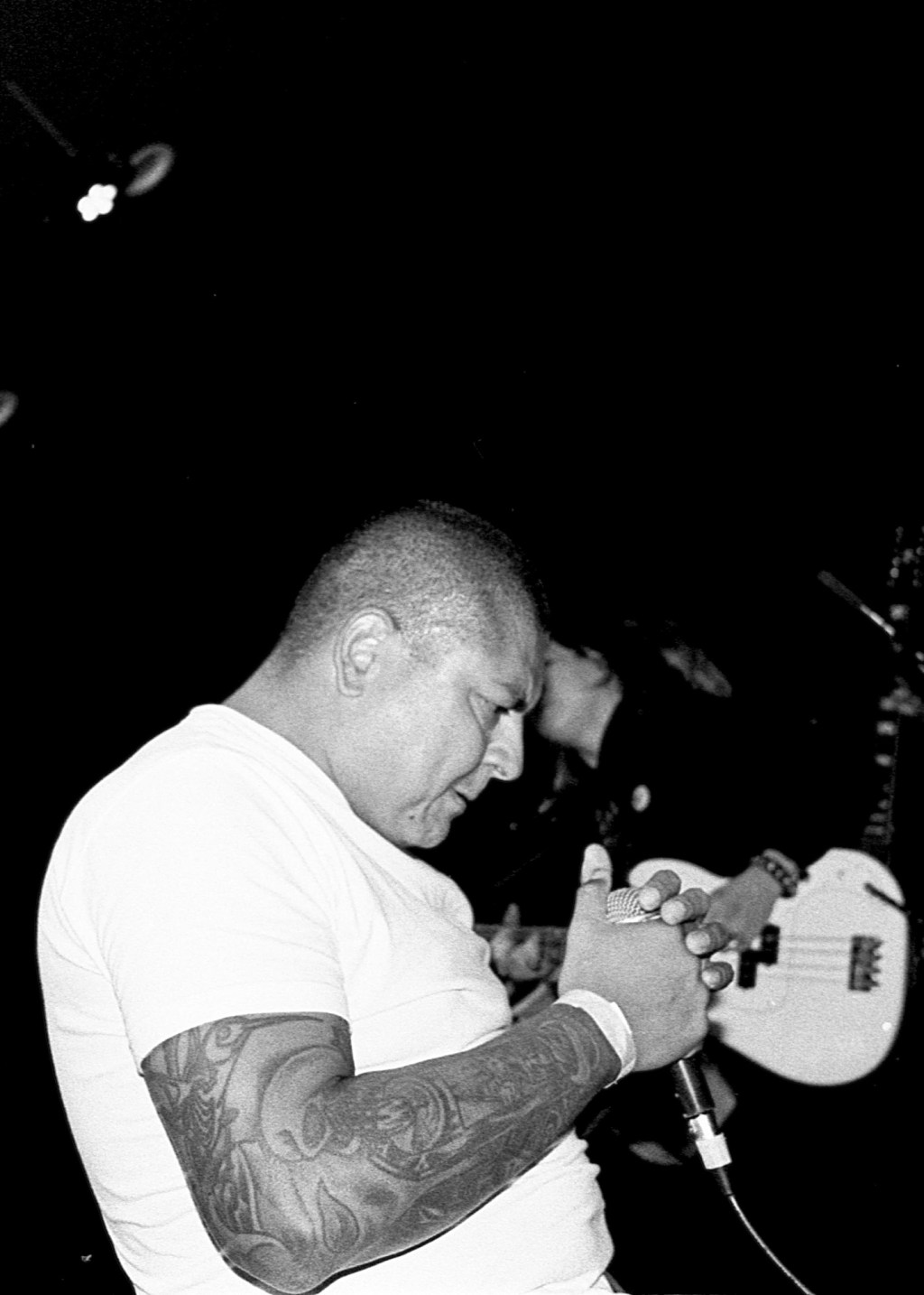 Slant. Corvo. Seclusion. Posicion&nbsp;unida.